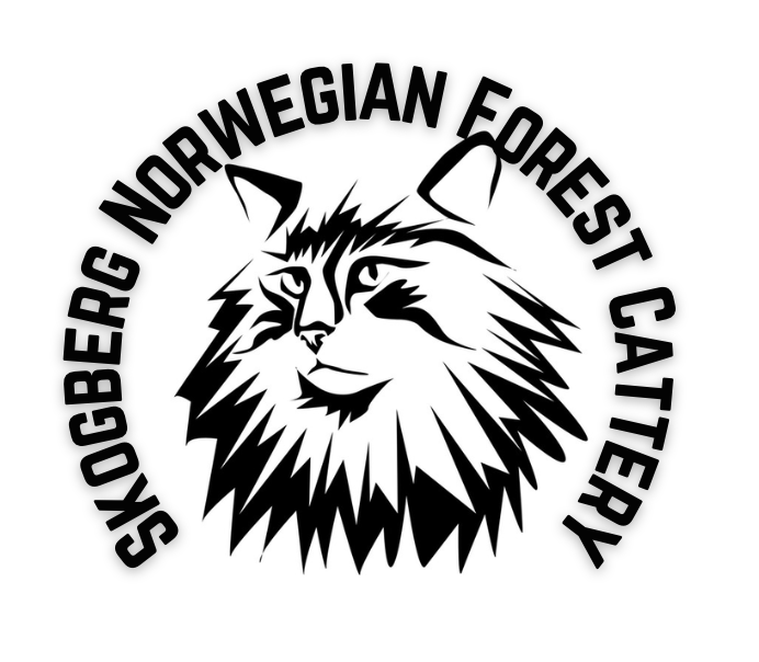 Skogberg Norwegian Forest Cattery